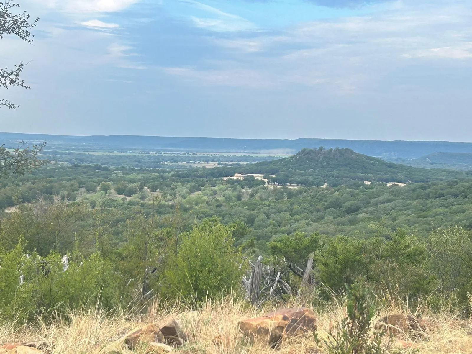 Elevated topography featuring expansive native woodlands and distant hill formations