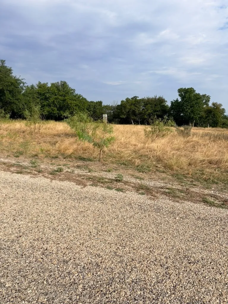 Expansive open lot featuring natural grasses and established mature trees, bordered by a gravel surface
