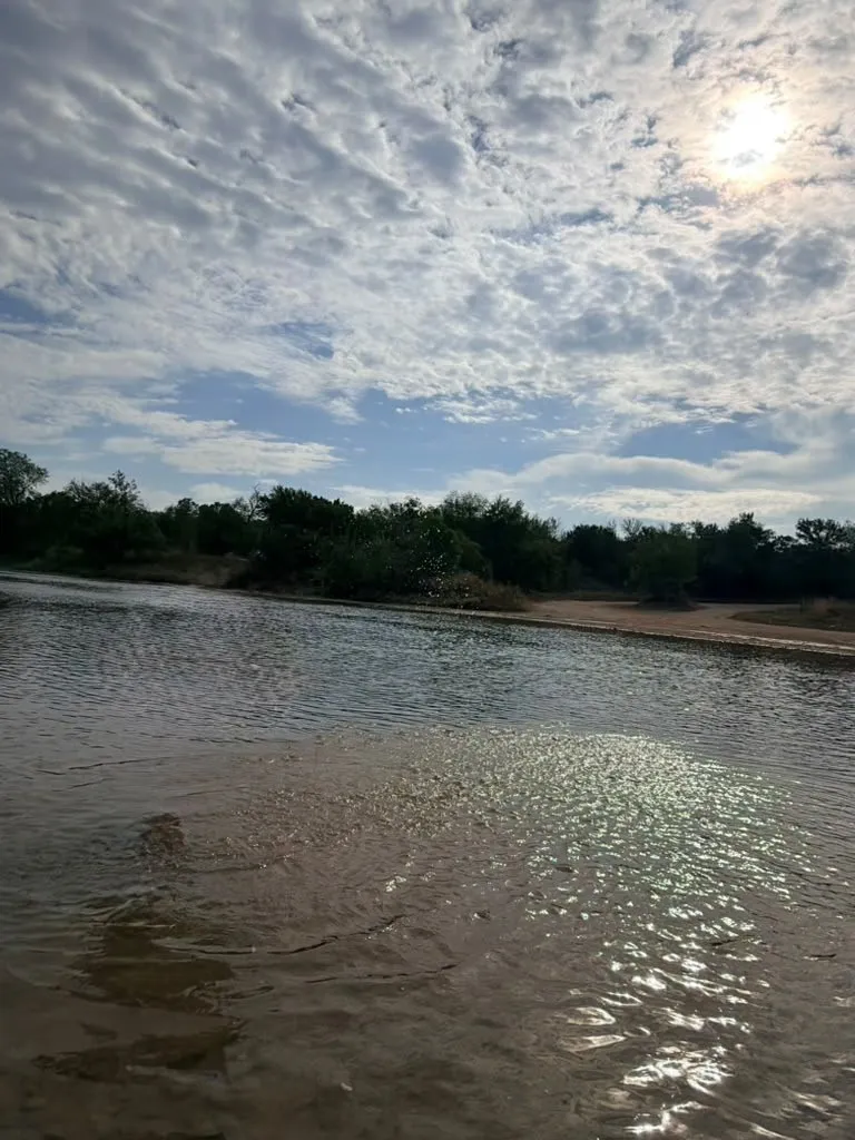 Natural water frontage featuring a sandy shoreline and mature perimeter vegetation