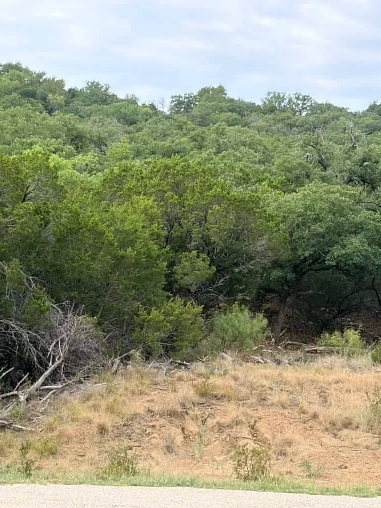 Expansive natural terrain featuring dense mature oak trees and native brush