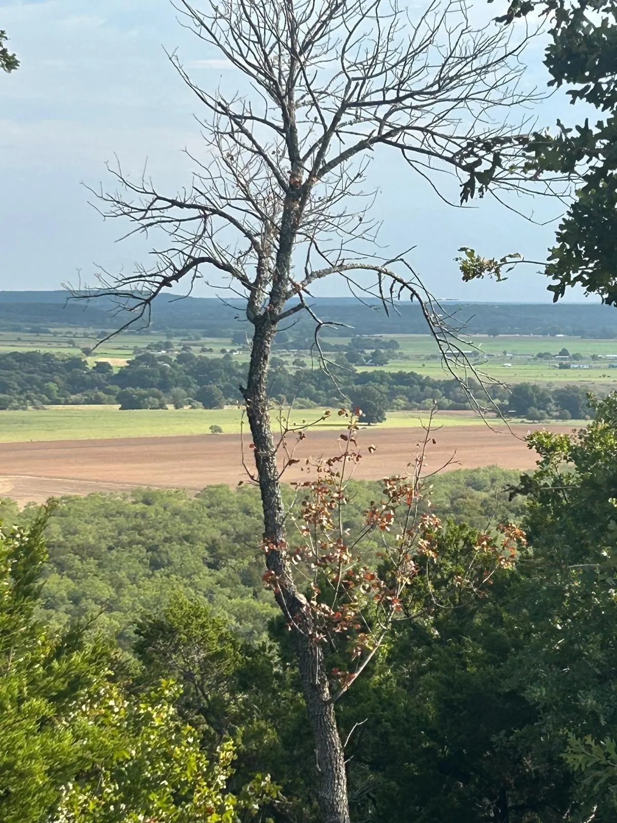 Elevated landscape featuring expansive horizon scenery, diverse vegetation, and open terrain