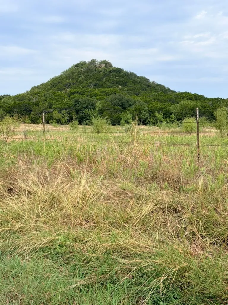 Expansive lot featuring native grassland, perimeter wire fencing, and prominent hill topography with mature tree cover