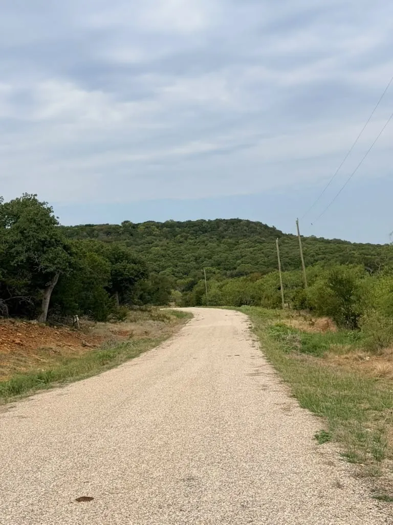 Unpaved gravel road featuring expansive hillside topography, mature trees, and native vegetation
