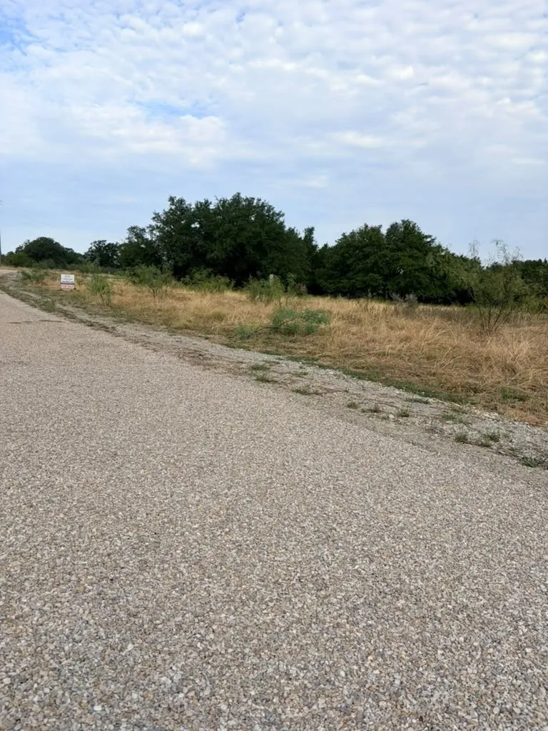 Expansive land parcel featuring native grasses, mature trees, and frontage on a gravel road