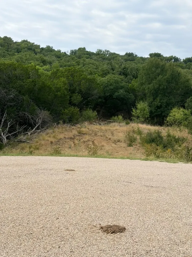 Gravel surface lot with native hillside terrain and dense mature tree coverage