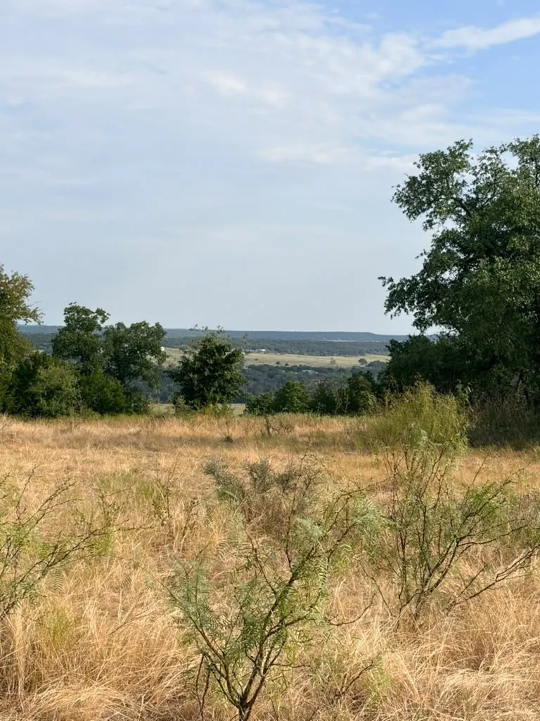 View from lot