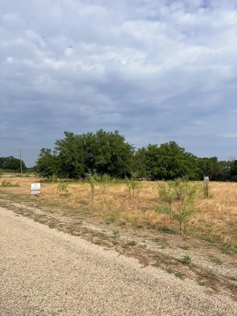 Expansive parcel featuring mature trees, level topography, and gravel road access