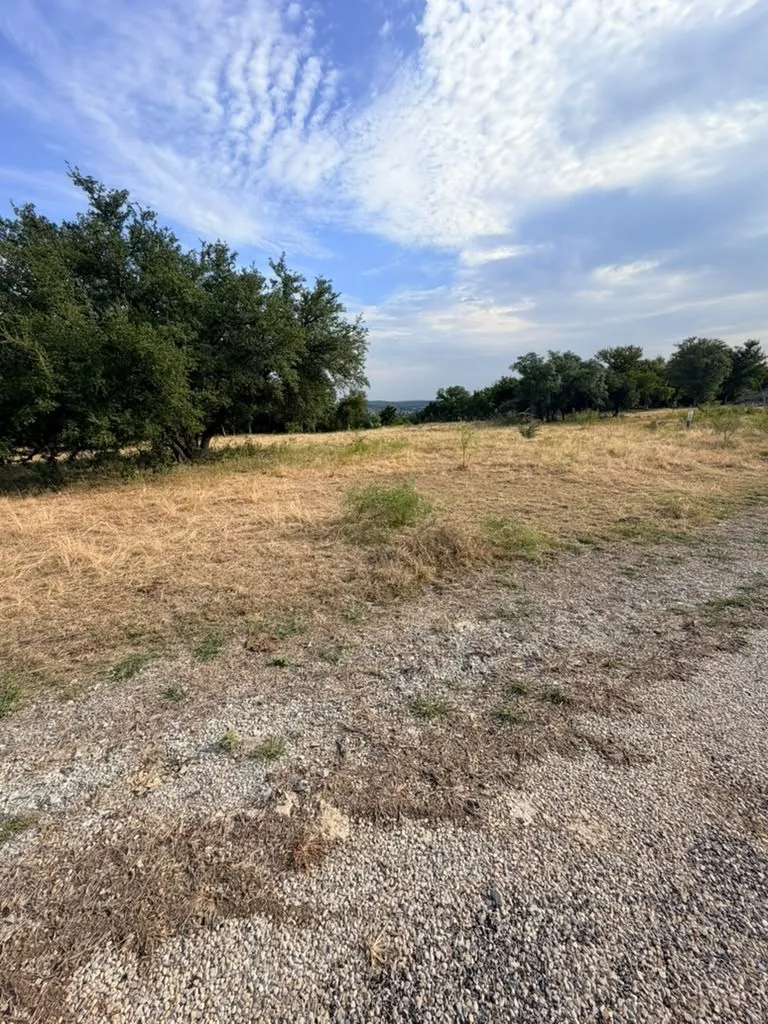 Expansive parcel of land featuring natural vegetation, mature trees, and gravel access