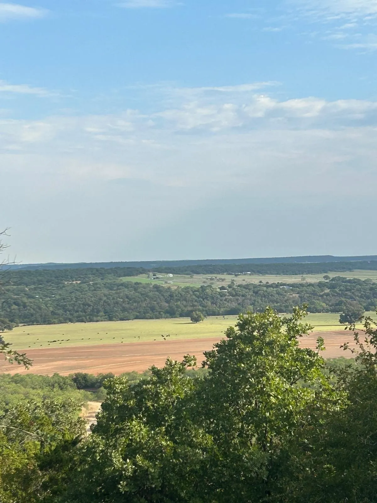 Expansive landscape featuring rolling topography, open pasture, and mature trees
