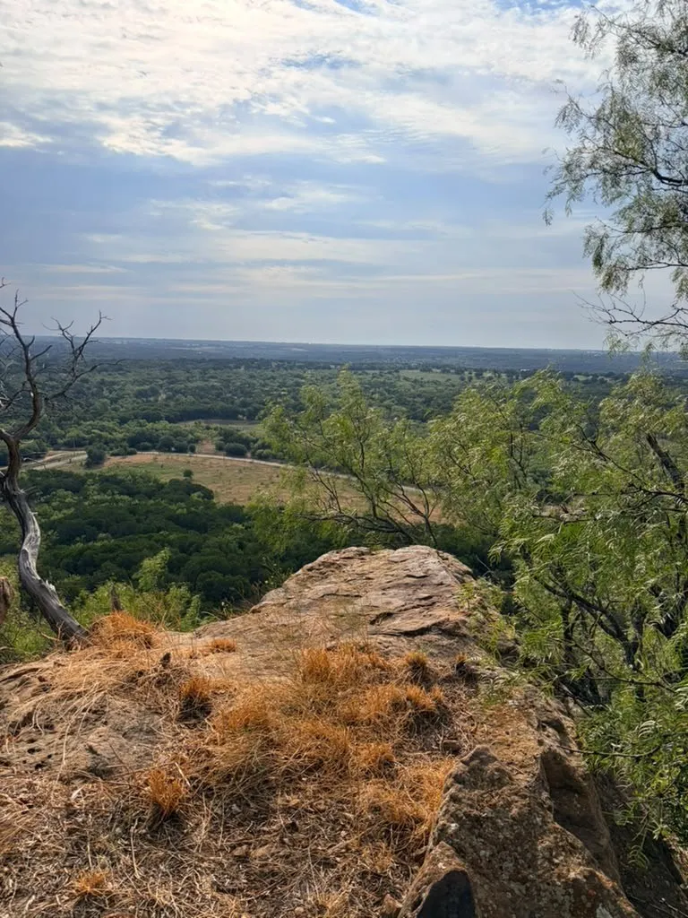 Elevated limestone outcropping featuring mature native trees and expansive landscape surroundings