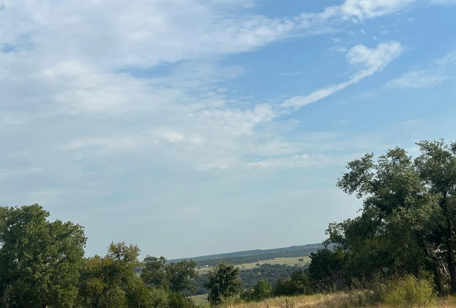 Expansive open terrain featuring mature trees and horizon scenery