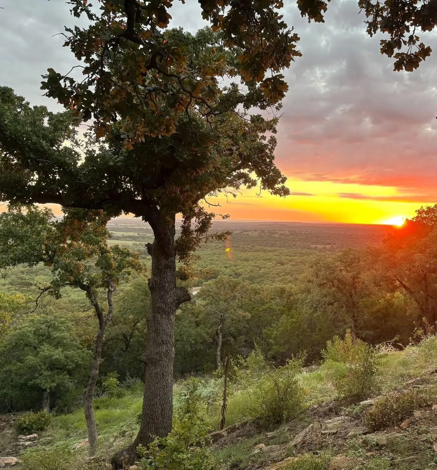 Elevated hilltop terrain featuring mature oak trees and an expansive horizon