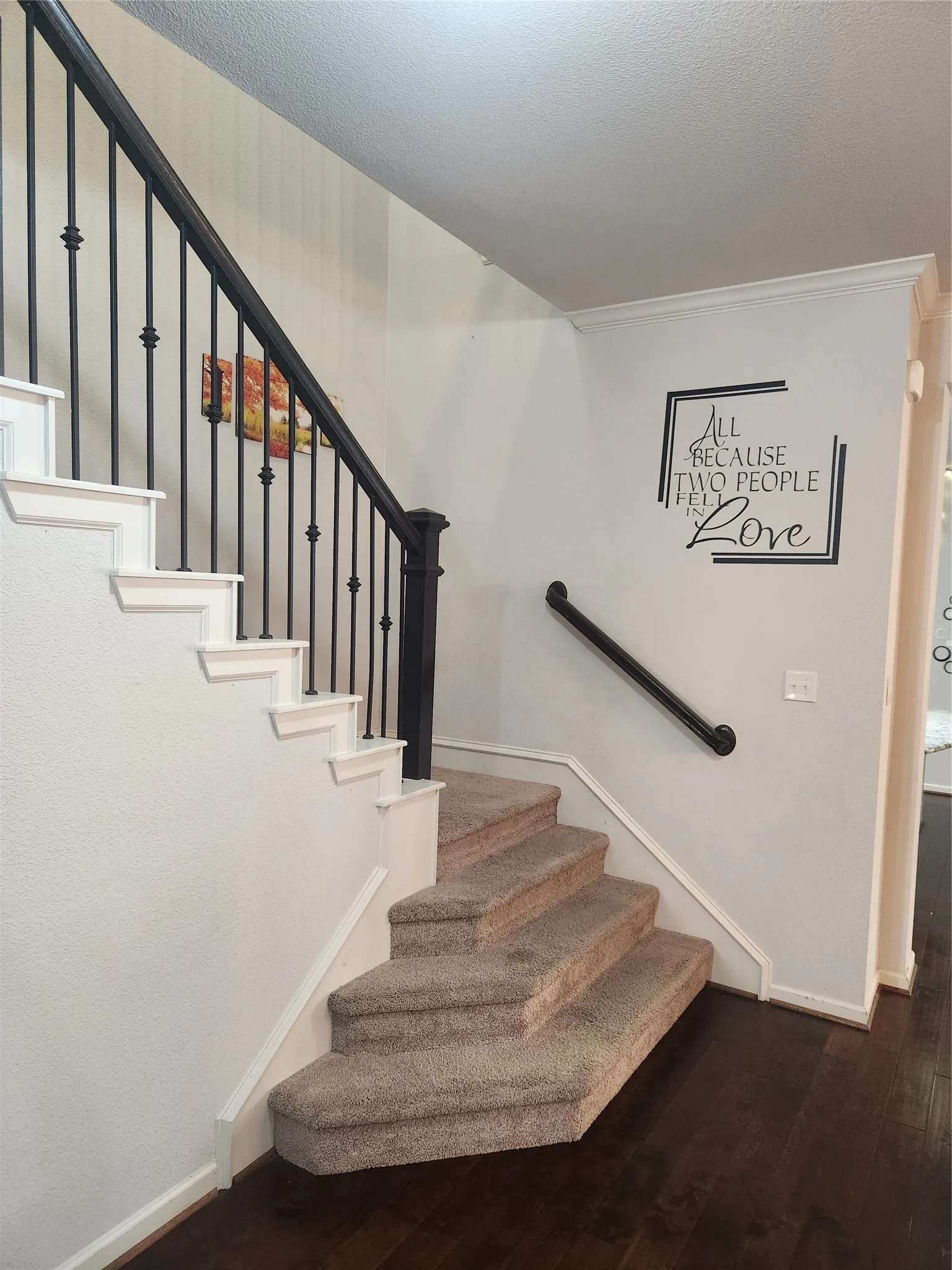 Staircase featuring carpeted treads, dark wood-finish flooring, and a wrought iron baluster railing