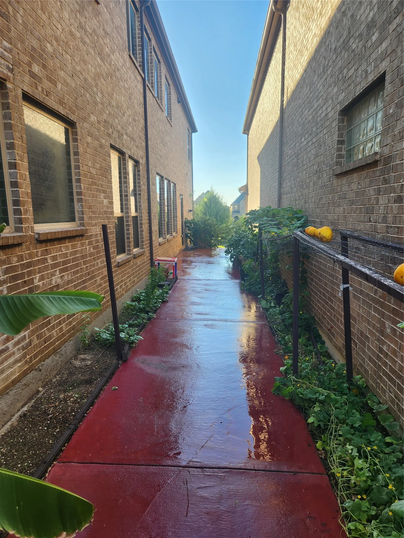 Brick exterior with multiple windows and a red-toned concrete pathway