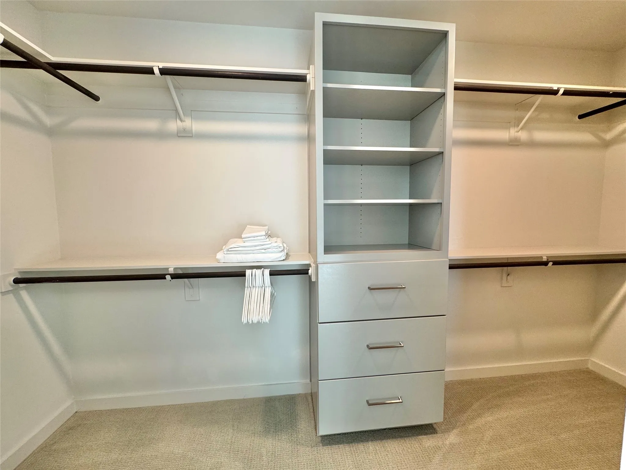 Spacious closet featuring light carpet
