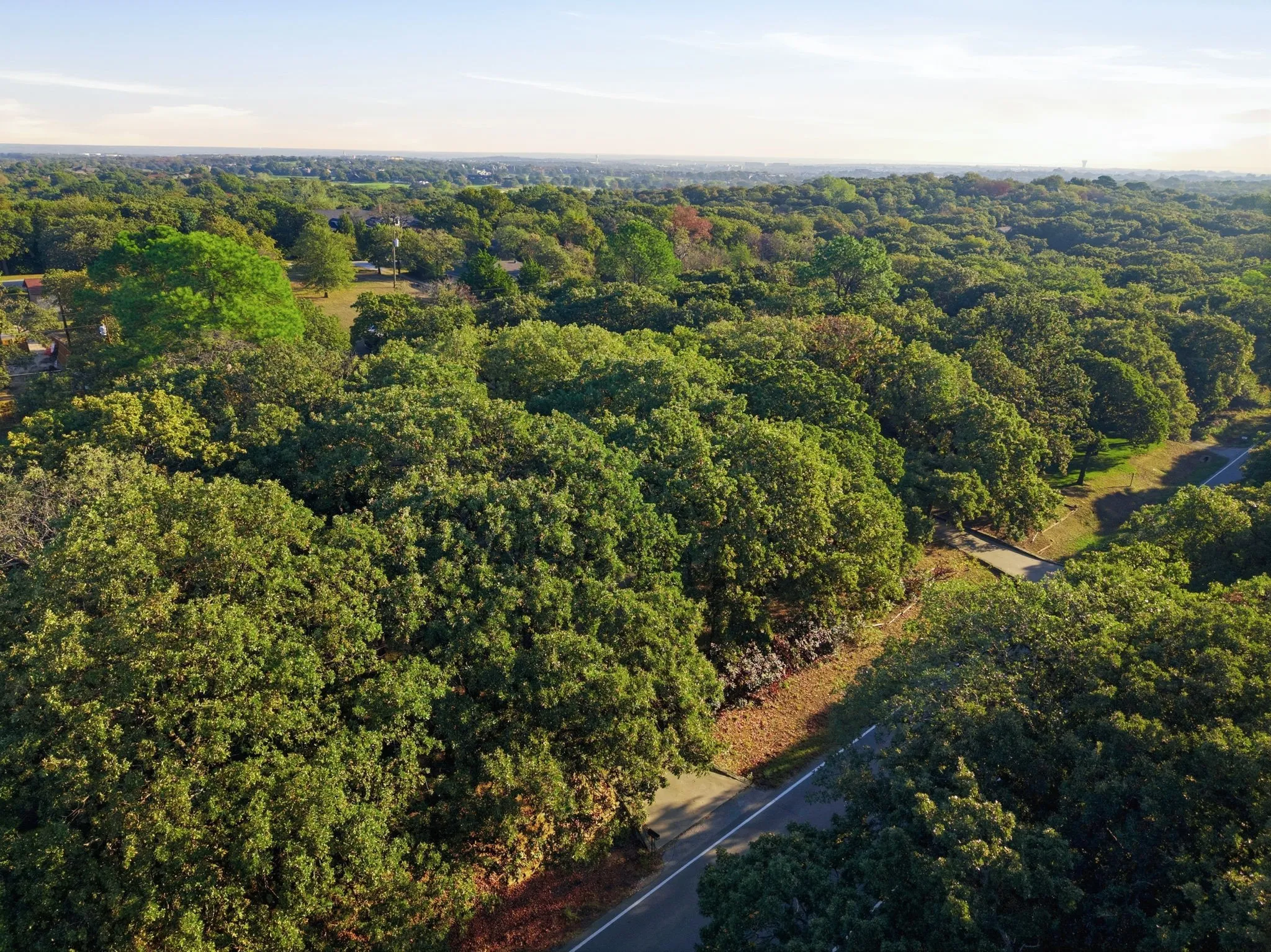Unimproved Land For Sale in Tarrant County , 2041 Fawkes Lane, Keller, Texas 76262, 0, 0, Garage spaces, 0 Sqft, built in 1972, mls#21407220, Real Estate Agent in Keller, Homes For Sale in Tarrant county, Homes For Sale in Keller, Realtor in Keller Texas, Real Estate Brokerage Independent Realty Texas, Luminita Cordes Realtor