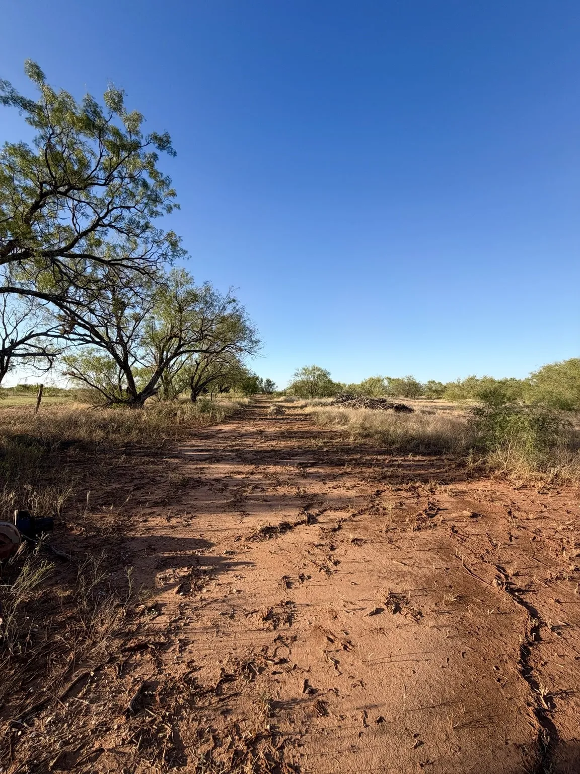 Single Family Residence For Sale in Jones County , 2740 County Road 320, Abilene, Texas 79601, 3 Bedroom, 2 Bathroom, Garage spaces, 1,242 Sqft, built in 1982, mls#21409265, Real Estate Agent in Abilene, Homes For Sale in Jones county, Homes For Sale in Abilene, Realtor in Abilene Texas, Real Estate Brokerage Independent Realty Texas, Luminita Cordes Realtor
