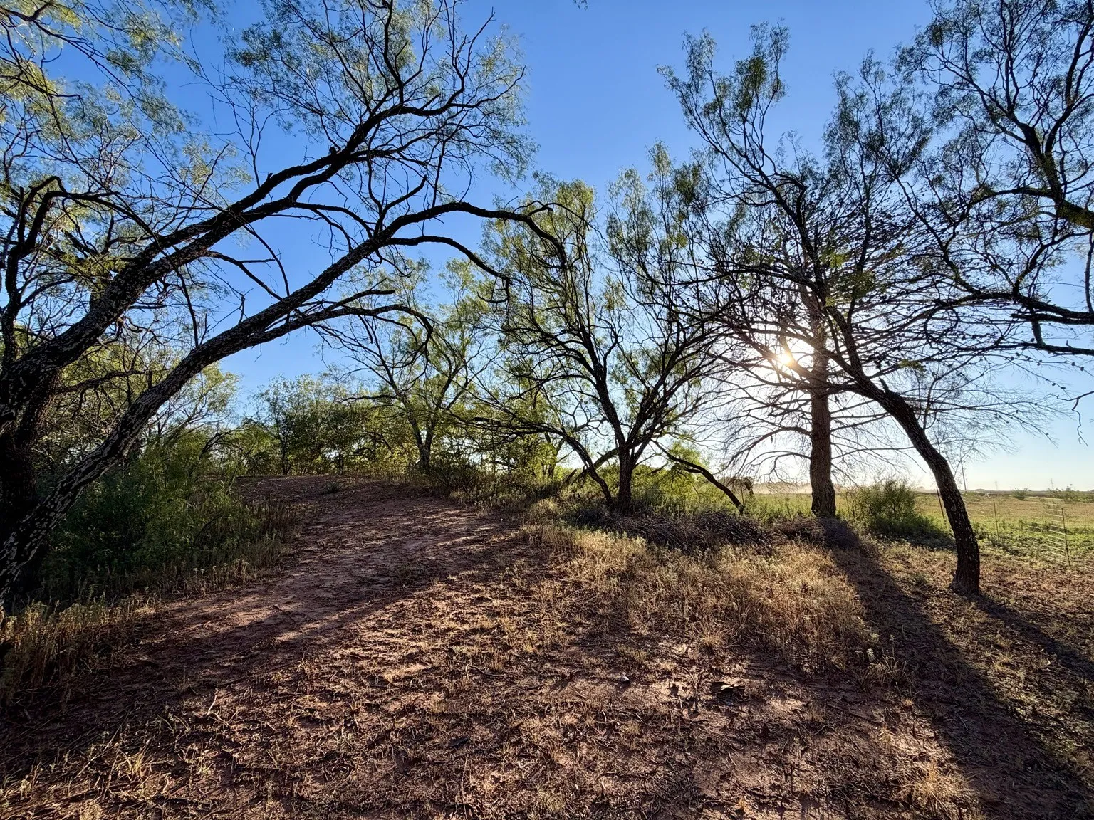 Single Family Residence For Sale in Jones County , 2740 County Road 320, Abilene, Texas 79601, 3 Bedroom, 2 Bathroom, Garage spaces, 1,242 Sqft, built in 1982, mls#21409265, Real Estate Agent in Abilene, Homes For Sale in Jones county, Homes For Sale in Abilene, Realtor in Abilene Texas, Real Estate Brokerage Independent Realty Texas, Luminita Cordes Realtor