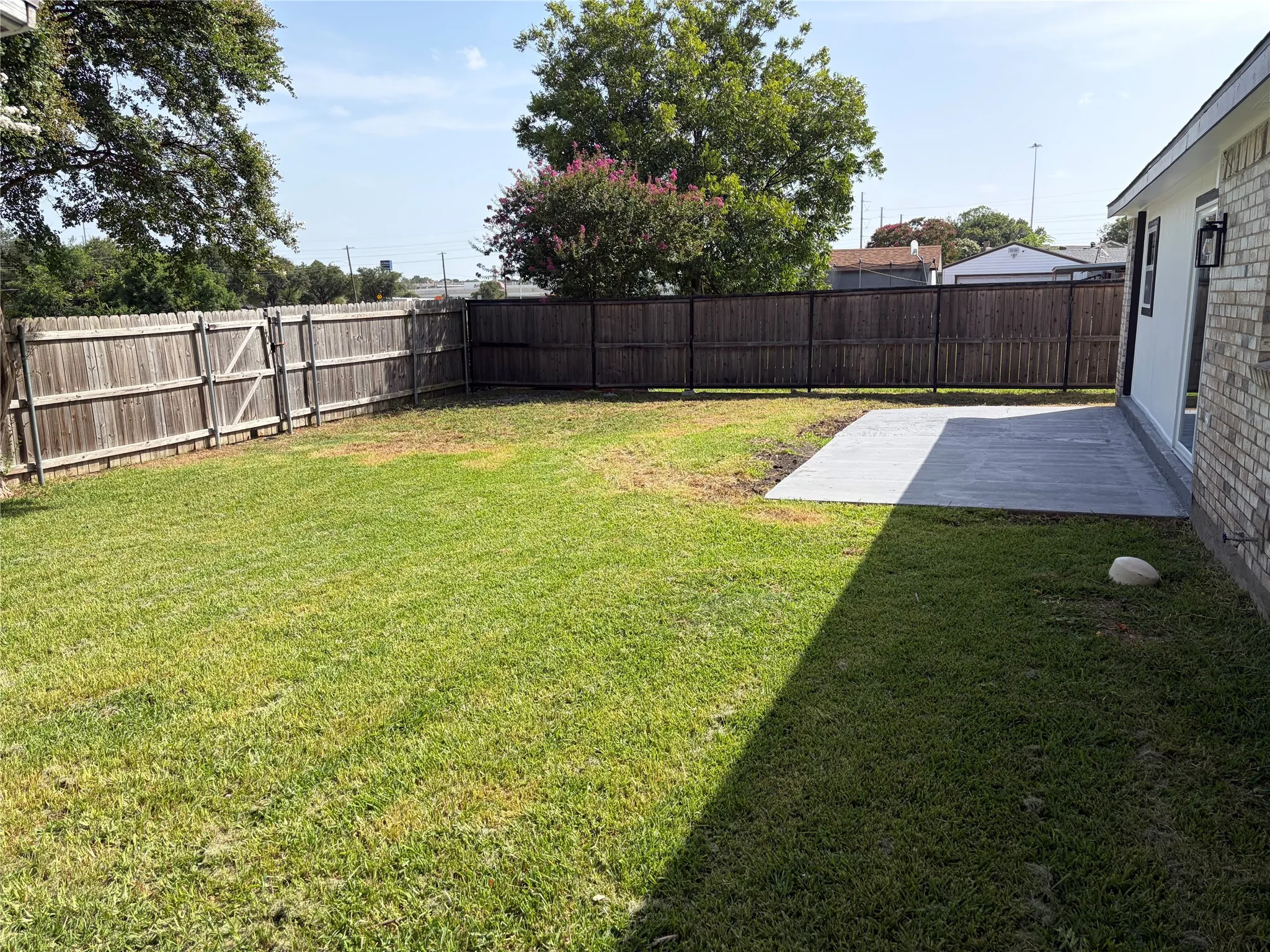 Back Yard
