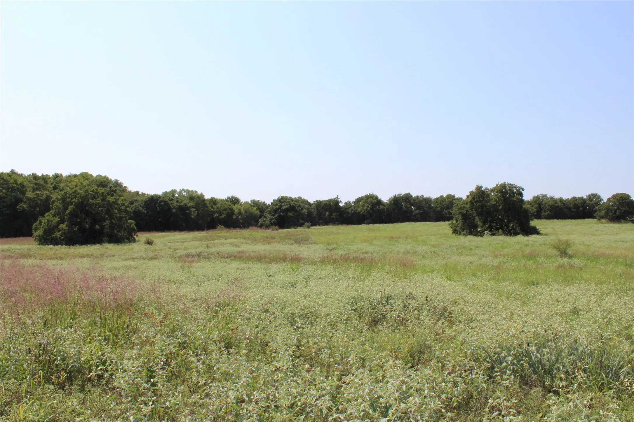 Unimproved Land For Sale in Montague County , 0000 Blackjack Pkwy, Nocona, Texas 76255, 0, 0, Garage spaces, 0 Sqft, built in 0, mls#21410579, Real Estate Agent in Nocona, Homes For Sale in Montague county, Homes For Sale in Nocona, Realtor in Nocona Texas, Real Estate Brokerage Independent Realty Texas, Luminita Cordes Realtor
