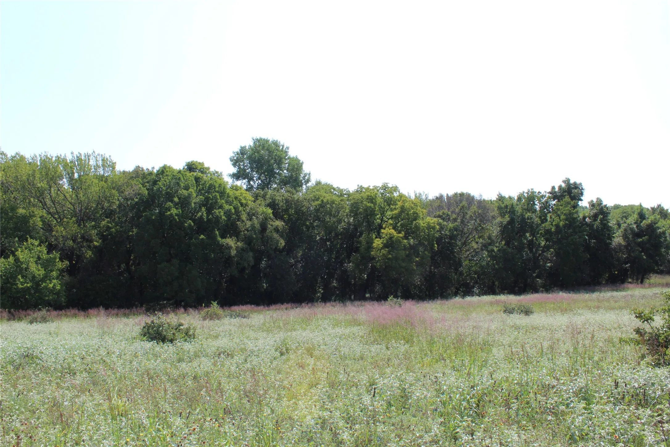 Unimproved Land For Sale in Montague County , 0000 Blackjack Pkwy, Nocona, Texas 76255, 0, 0, Garage spaces, 0 Sqft, built in 0, mls#21410579, Real Estate Agent in Nocona, Homes For Sale in Montague county, Homes For Sale in Nocona, Realtor in Nocona Texas, Real Estate Brokerage Independent Realty Texas, Luminita Cordes Realtor
