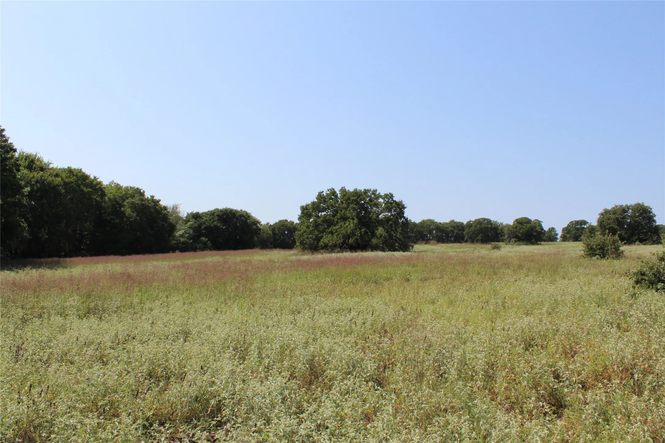 Unimproved Land For Sale