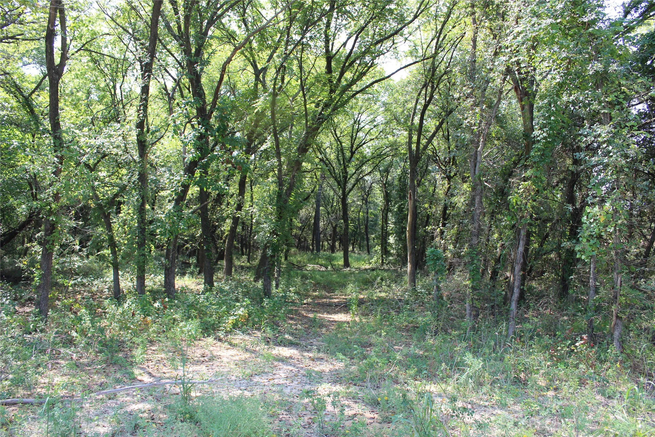 Unimproved Land For Sale in Montague County , 0000 Blackjack Pkwy, Nocona, Texas 76255, 0, 0, Garage spaces, 0 Sqft, built in 0, mls#21410579, Real Estate Agent in Nocona, Homes For Sale in Montague county, Homes For Sale in Nocona, Realtor in Nocona Texas, Real Estate Brokerage Independent Realty Texas, Luminita Cordes Realtor