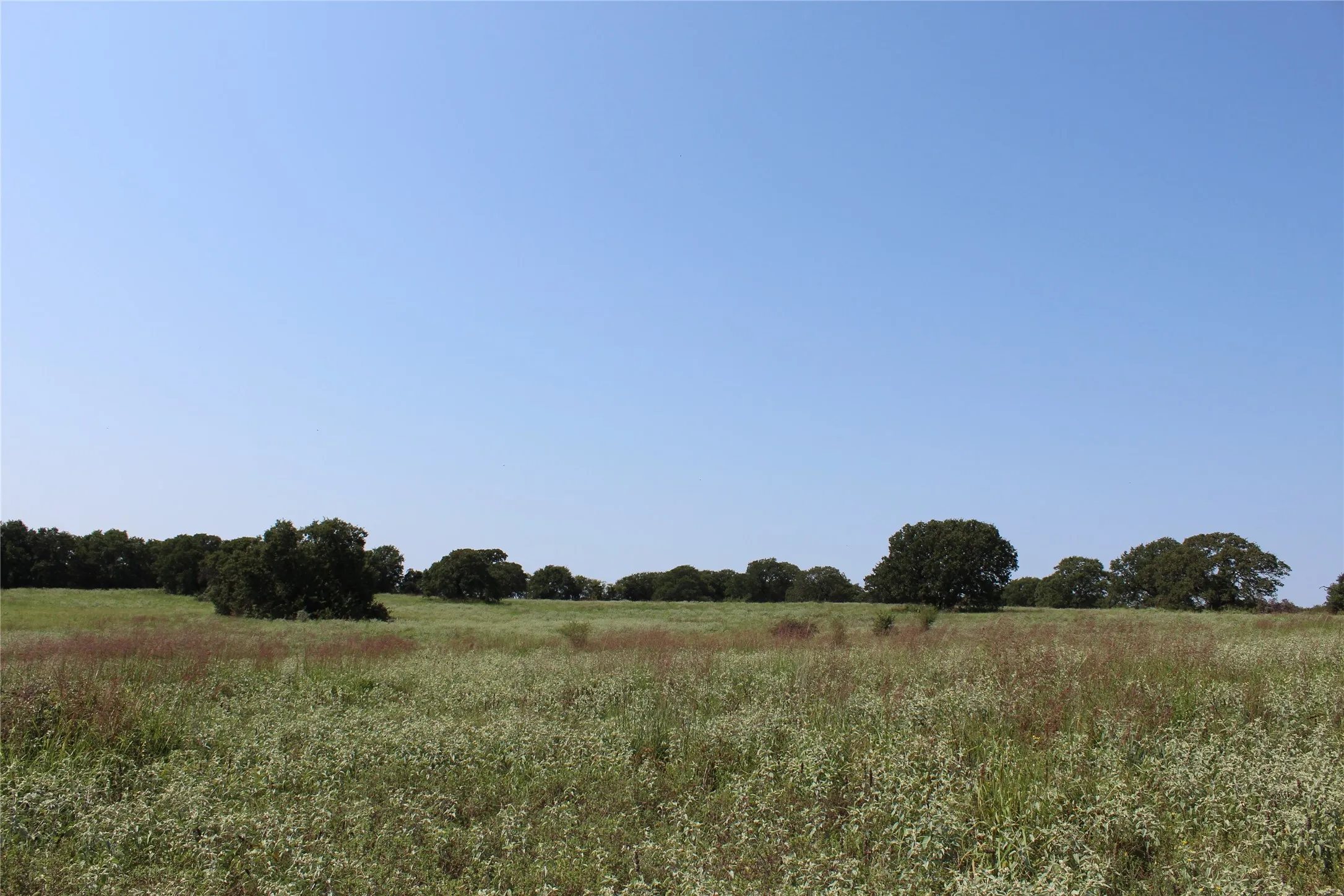 Unimproved Land For Sale in Montague County , 0000 Blackjack Pkwy, Nocona, Texas 76255, 0, 0, Garage spaces, 0 Sqft, built in 0, mls#21410579, Real Estate Agent in Nocona, Homes For Sale in Montague county, Homes For Sale in Nocona, Realtor in Nocona Texas, Real Estate Brokerage Independent Realty Texas, Luminita Cordes Realtor