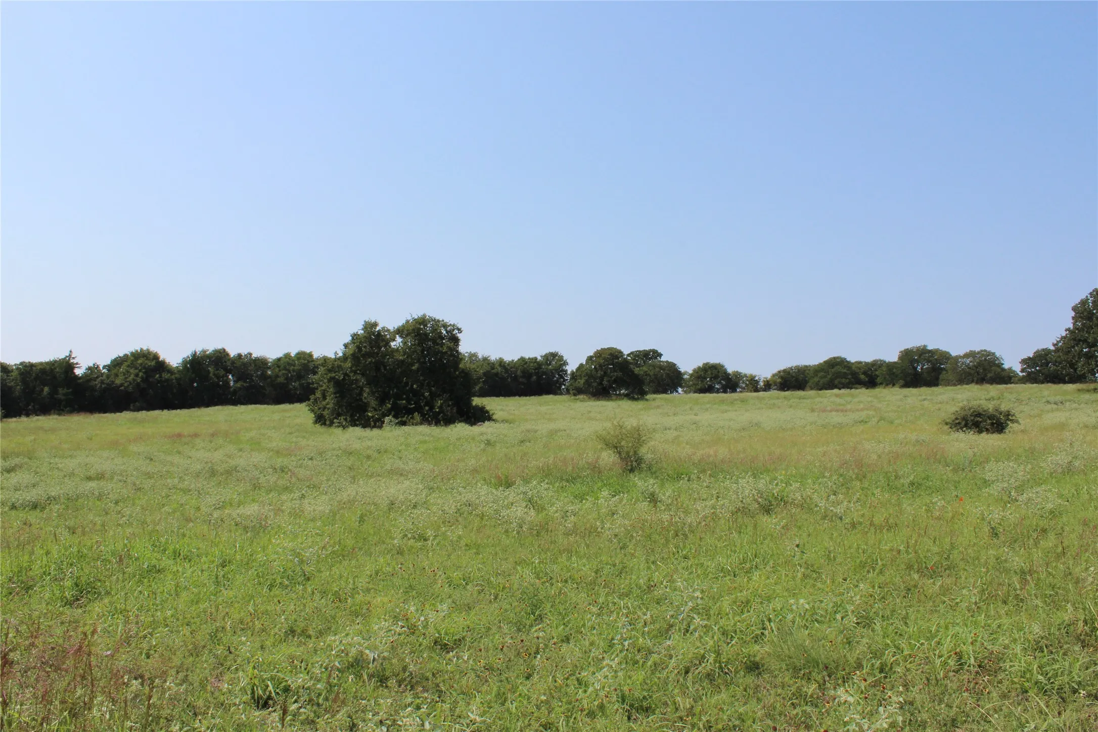 Unimproved Land For Sale in Montague County , 0000 Blackjack Pkwy, Nocona, Texas 76255, 0, 0, Garage spaces, 0 Sqft, built in 0, mls#21410579, Real Estate Agent in Nocona, Homes For Sale in Montague county, Homes For Sale in Nocona, Realtor in Nocona Texas, Real Estate Brokerage Independent Realty Texas, Luminita Cordes Realtor