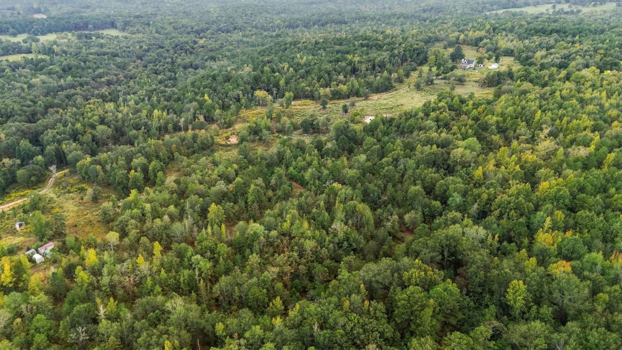 Unimproved Land For Sale in Henderson County , 0 FM 314, Larue, Texas 75770, 0, 0, Garage spaces, 0 Sqft, built in 0, mls#21408058, Real Estate Agent in Larue, Homes For Sale in Henderson county, Homes For Sale in Larue, Realtor in Larue Texas, Real Estate Brokerage Independent Realty Texas, Luminita Cordes Realtor