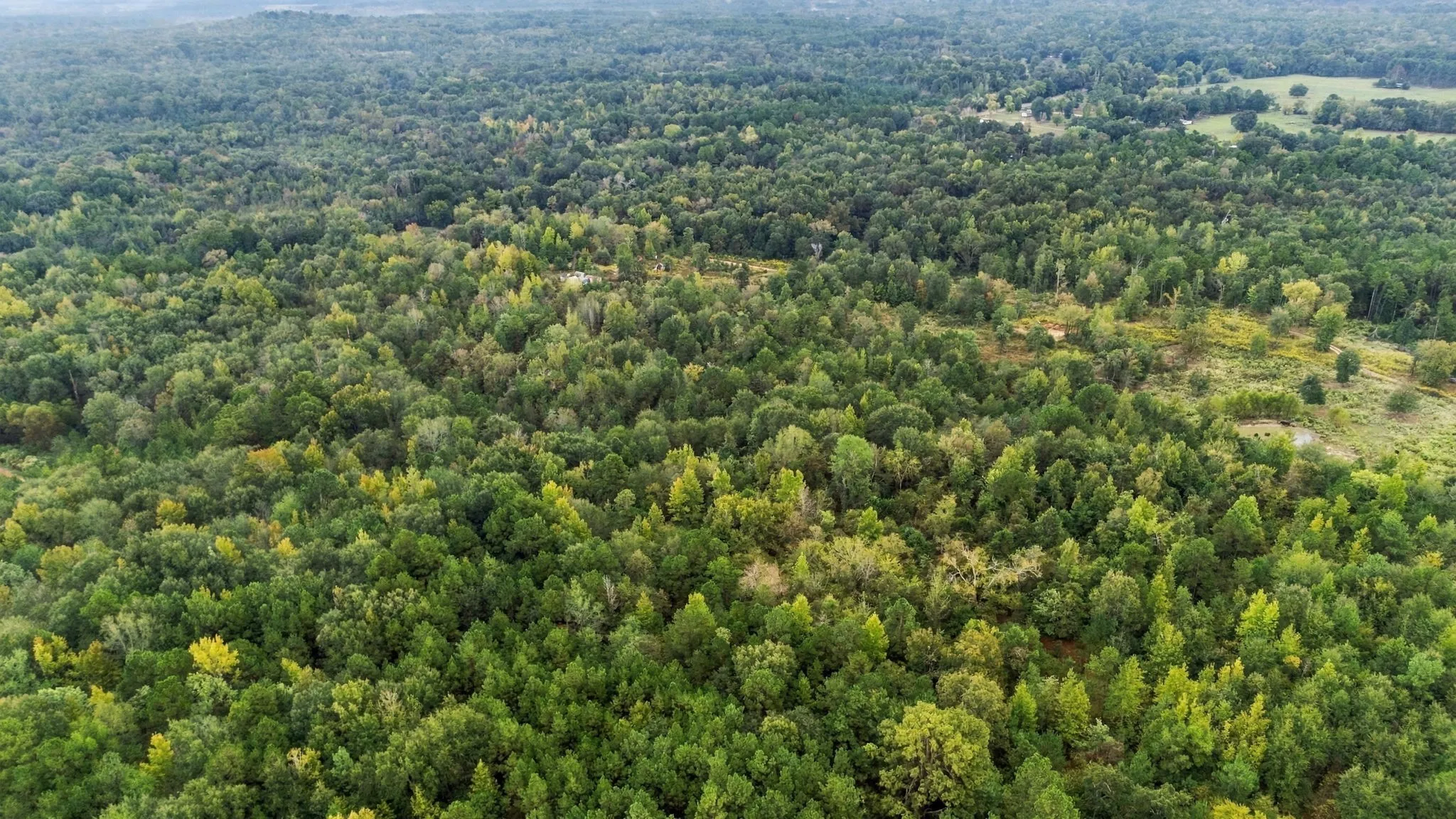 Unimproved Land For Sale in Henderson County , 0 FM 314, Larue, Texas 75770, 0, 0, Garage spaces, 0 Sqft, built in 0, mls#21408058, Real Estate Agent in Larue, Homes For Sale in Henderson county, Homes For Sale in Larue, Realtor in Larue Texas, Real Estate Brokerage Independent Realty Texas, Luminita Cordes Realtor