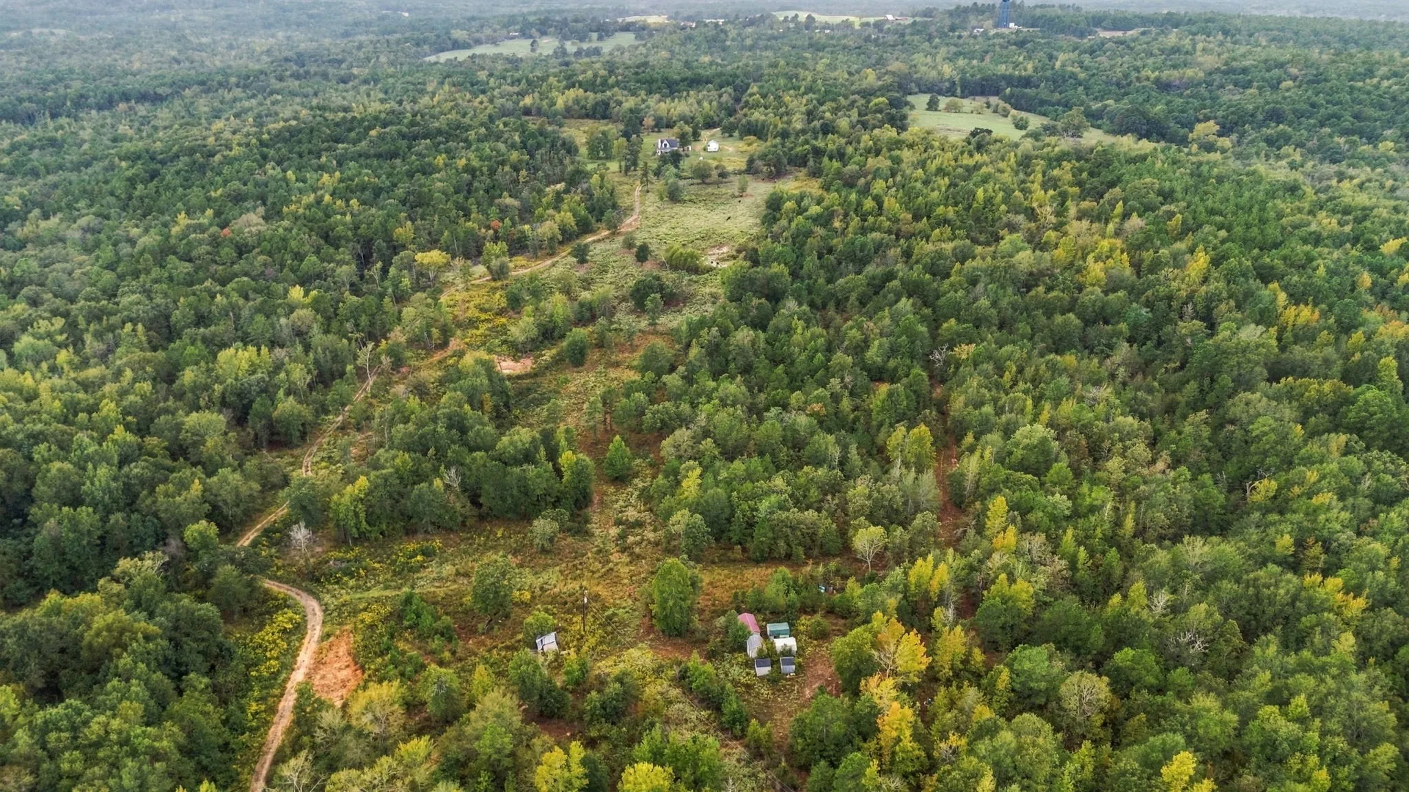 Unimproved Land For Sale in Henderson County , 0 FM 314, Larue, Texas 75770, 0, 0, Garage spaces, 0 Sqft, built in 0, mls#21408058, Real Estate Agent in Larue, Homes For Sale in Henderson county, Homes For Sale in Larue, Realtor in Larue Texas, Real Estate Brokerage Independent Realty Texas, Luminita Cordes Realtor