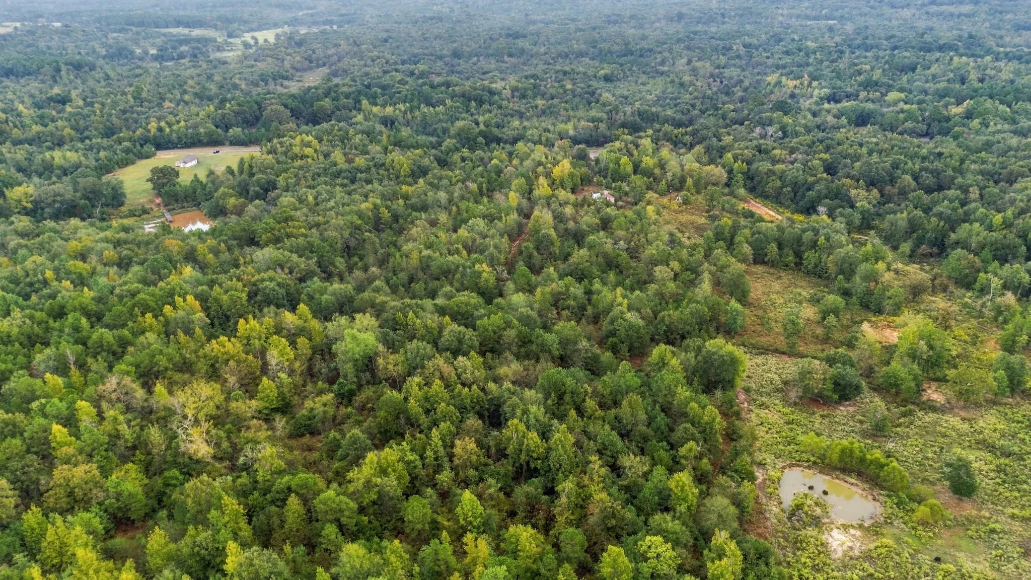 Unimproved Land For Sale in Henderson County , 0 FM 314, Larue, Texas 75770, 0, 0, Garage spaces, 0 Sqft, built in 0, mls#21408058, Real Estate Agent in Larue, Homes For Sale in Henderson county, Homes For Sale in Larue, Realtor in Larue Texas, Real Estate Brokerage Independent Realty Texas, Luminita Cordes Realtor