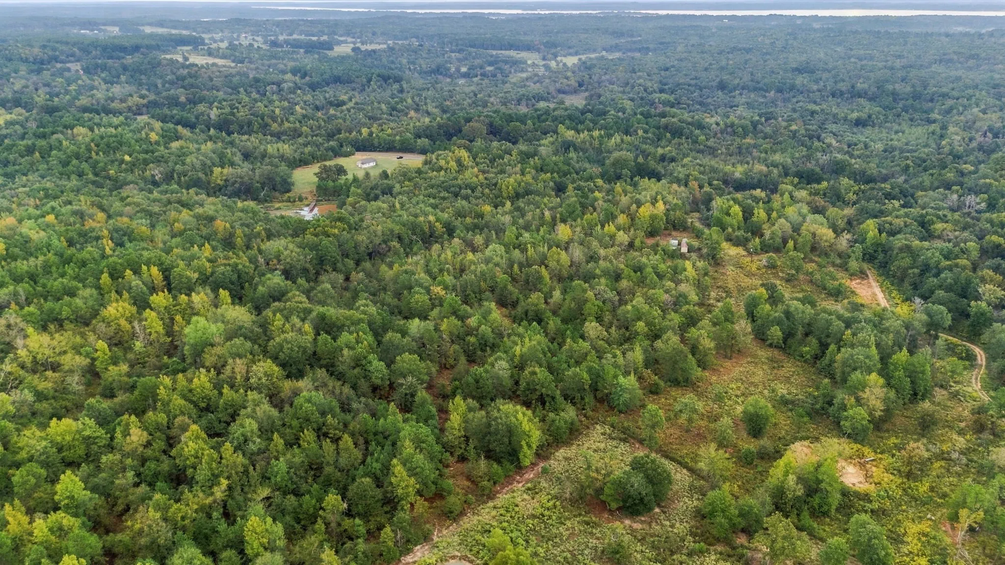 Unimproved Land For Sale in Henderson County , 0 FM 314, Larue, Texas 75770, 0, 0, Garage spaces, 0 Sqft, built in 0, mls#21408058, Real Estate Agent in Larue, Homes For Sale in Henderson county, Homes For Sale in Larue, Realtor in Larue Texas, Real Estate Brokerage Independent Realty Texas, Luminita Cordes Realtor