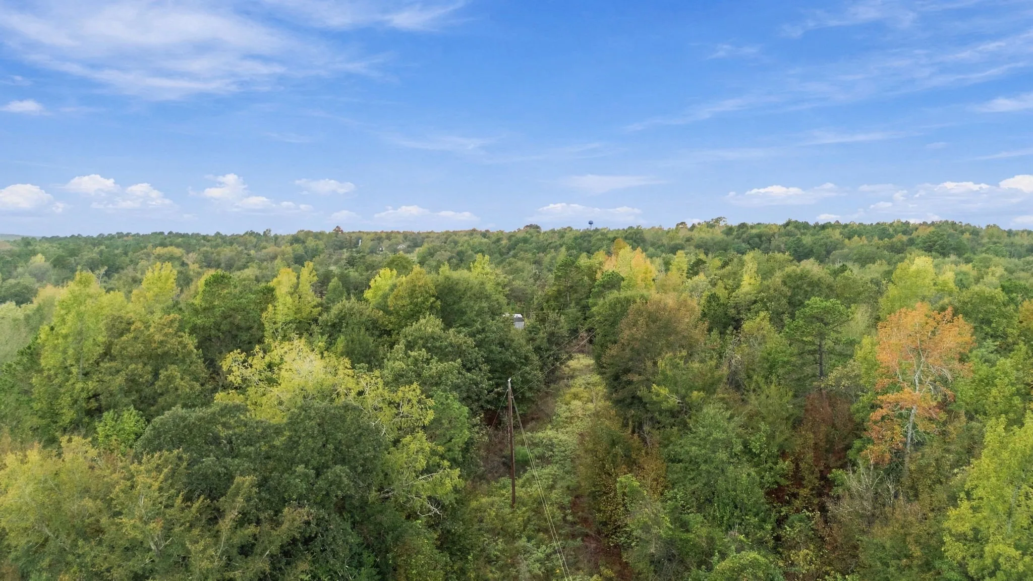 Unimproved Land For Sale in Henderson County , 0 FM 314, Larue, Texas 75770, 0, 0, Garage spaces, 0 Sqft, built in 0, mls#21408058, Real Estate Agent in Larue, Homes For Sale in Henderson county, Homes For Sale in Larue, Realtor in Larue Texas, Real Estate Brokerage Independent Realty Texas, Luminita Cordes Realtor