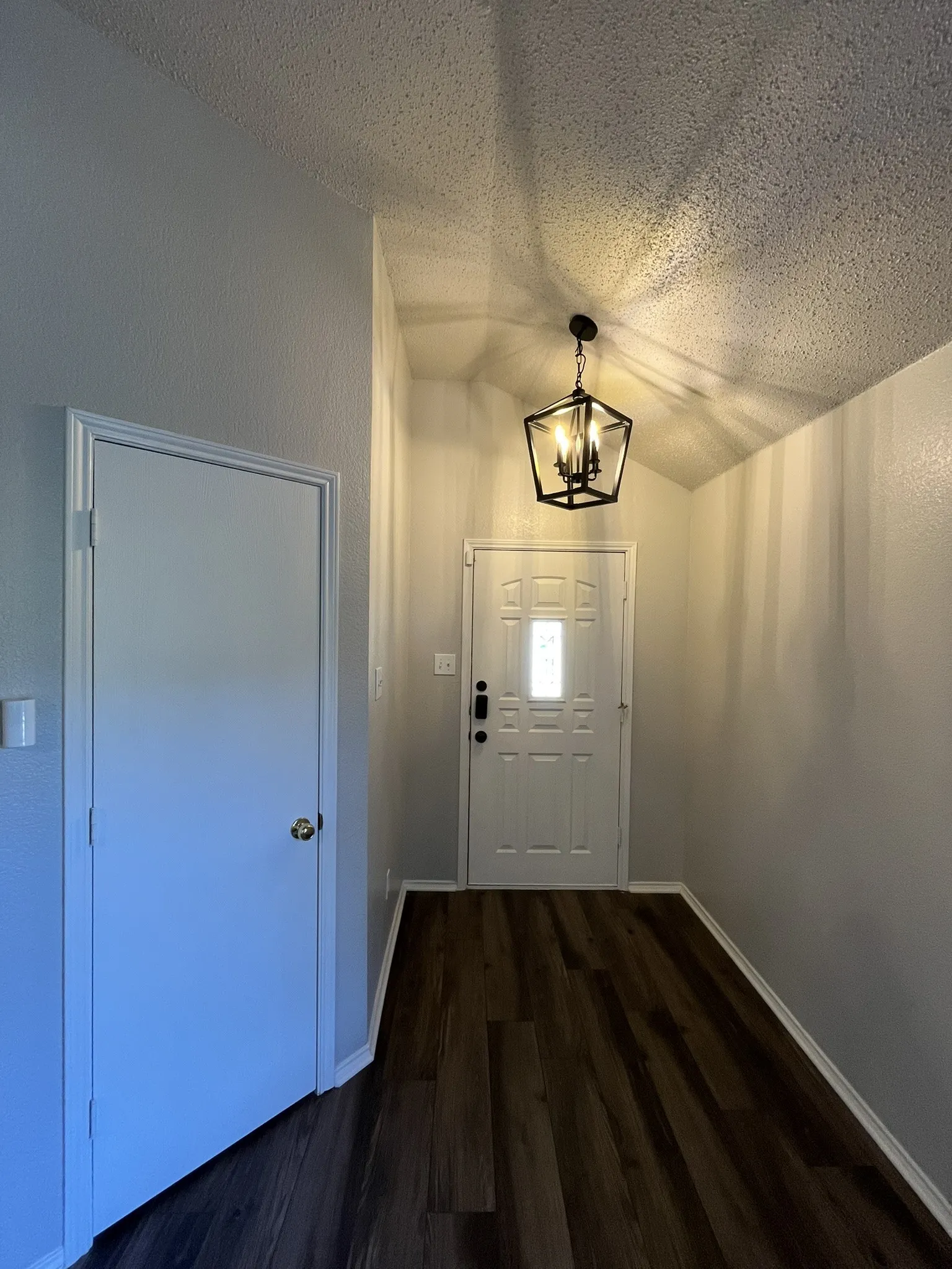 Foyer featuring wood-finish flooring, a white paneled entry door with frosted glass, and a black geometric pendant light fixture