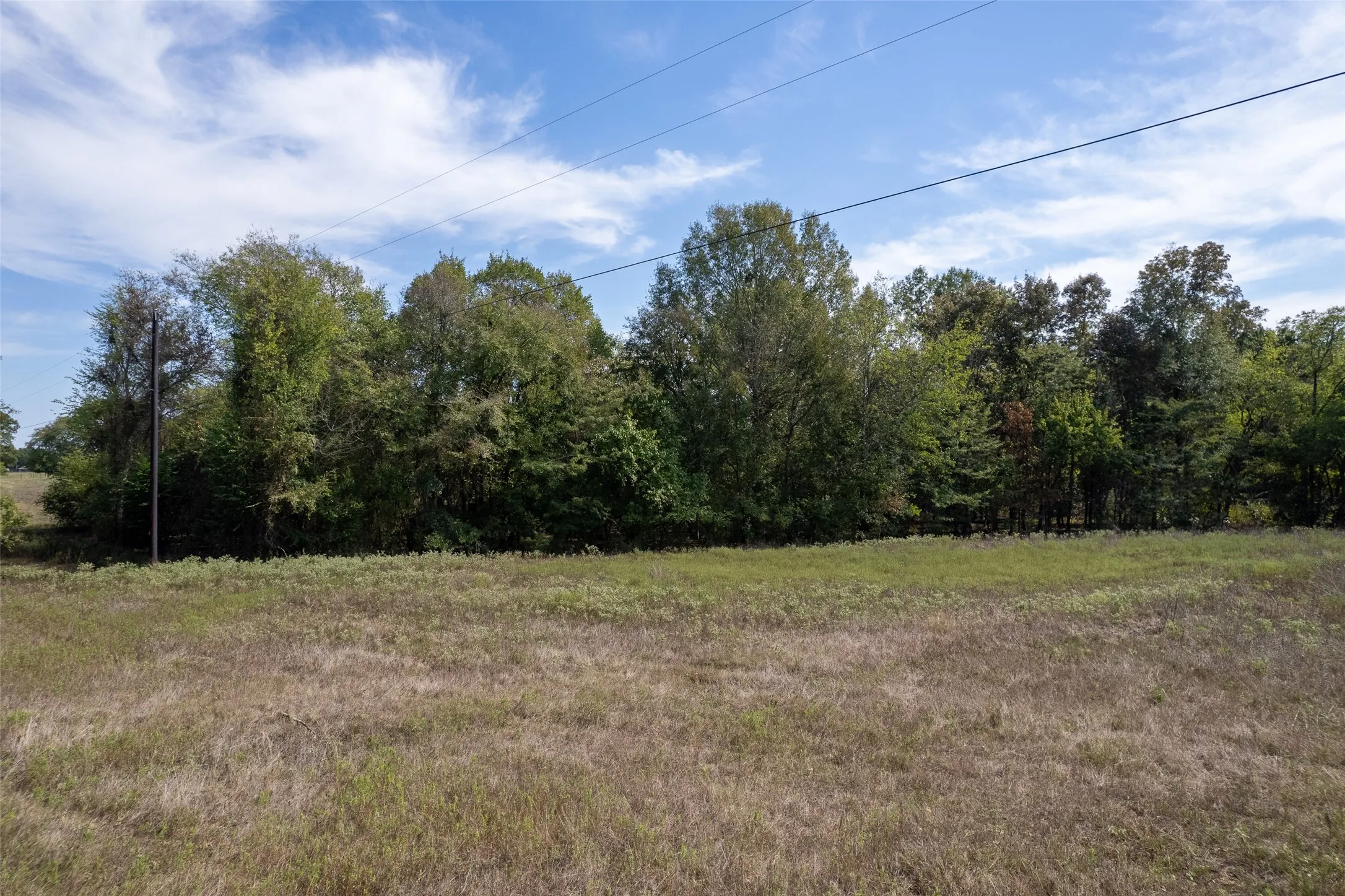 Unimproved Land For Sale in Franklin (TX) County , TBD NE CR 2060, Mount Vernon, Texas 75457, 0, 0, Garage spaces, 0 Sqft, built in 0, mls#21410679, Real Estate Agent in Mount Vernon, Homes For Sale in Franklin (TX) county, Homes For Sale in Mount Vernon, Realtor in Mount Vernon Texas, Real Estate Brokerage Independent Realty Texas, Luminita Cordes Realtor