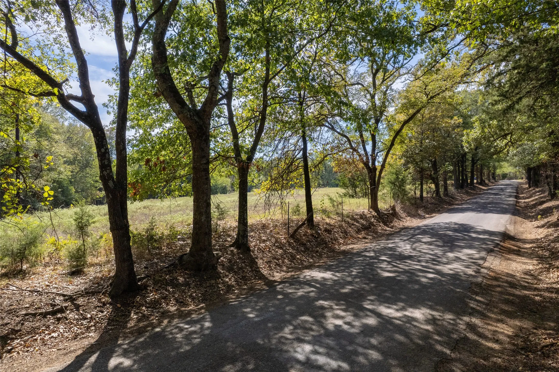 Unimproved Land For Sale in Franklin (TX) County , TBD NE CR 2060, Mount Vernon, Texas 75457, 0, 0, Garage spaces, 0 Sqft, built in 0, mls#21410679, Real Estate Agent in Mount Vernon, Homes For Sale in Franklin (TX) county, Homes For Sale in Mount Vernon, Realtor in Mount Vernon Texas, Real Estate Brokerage Independent Realty Texas, Luminita Cordes Realtor
