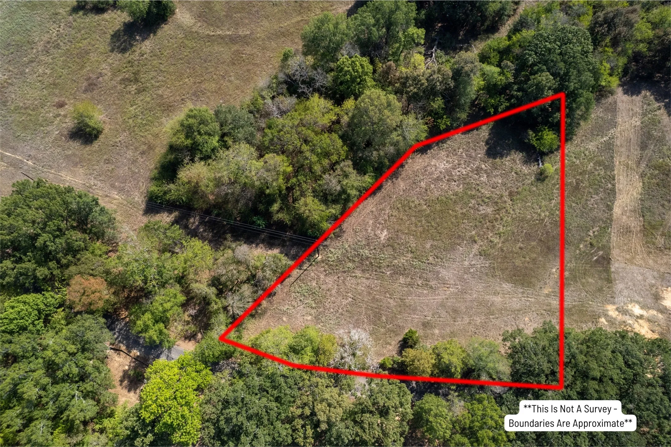 Unimproved Land For Sale in Franklin (TX) County , TBD NE CR 2060, Mount Vernon, Texas 75457, 0, 0, Garage spaces, 0 Sqft, built in 0, mls#21410679, Real Estate Agent in Mount Vernon, Homes For Sale in Franklin (TX) county, Homes For Sale in Mount Vernon, Realtor in Mount Vernon Texas, Real Estate Brokerage Independent Realty Texas, Luminita Cordes Realtor