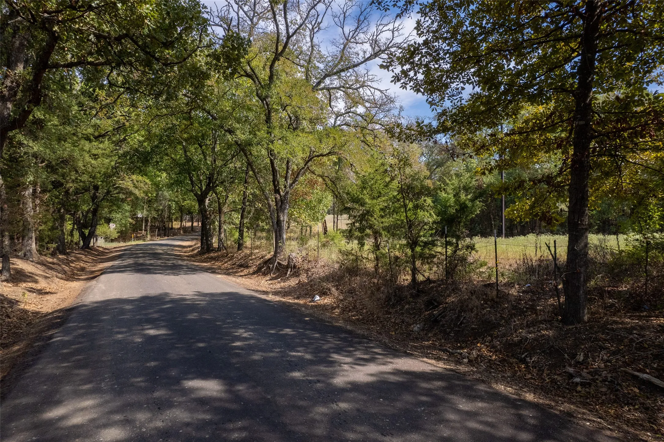 Unimproved Land For Sale in Franklin (TX) County , TBD NE CR 2060, Mount Vernon, Texas 75457, 0, 0, Garage spaces, 0 Sqft, built in 0, mls#21410679, Real Estate Agent in Mount Vernon, Homes For Sale in Franklin (TX) county, Homes For Sale in Mount Vernon, Realtor in Mount Vernon Texas, Real Estate Brokerage Independent Realty Texas, Luminita Cordes Realtor
