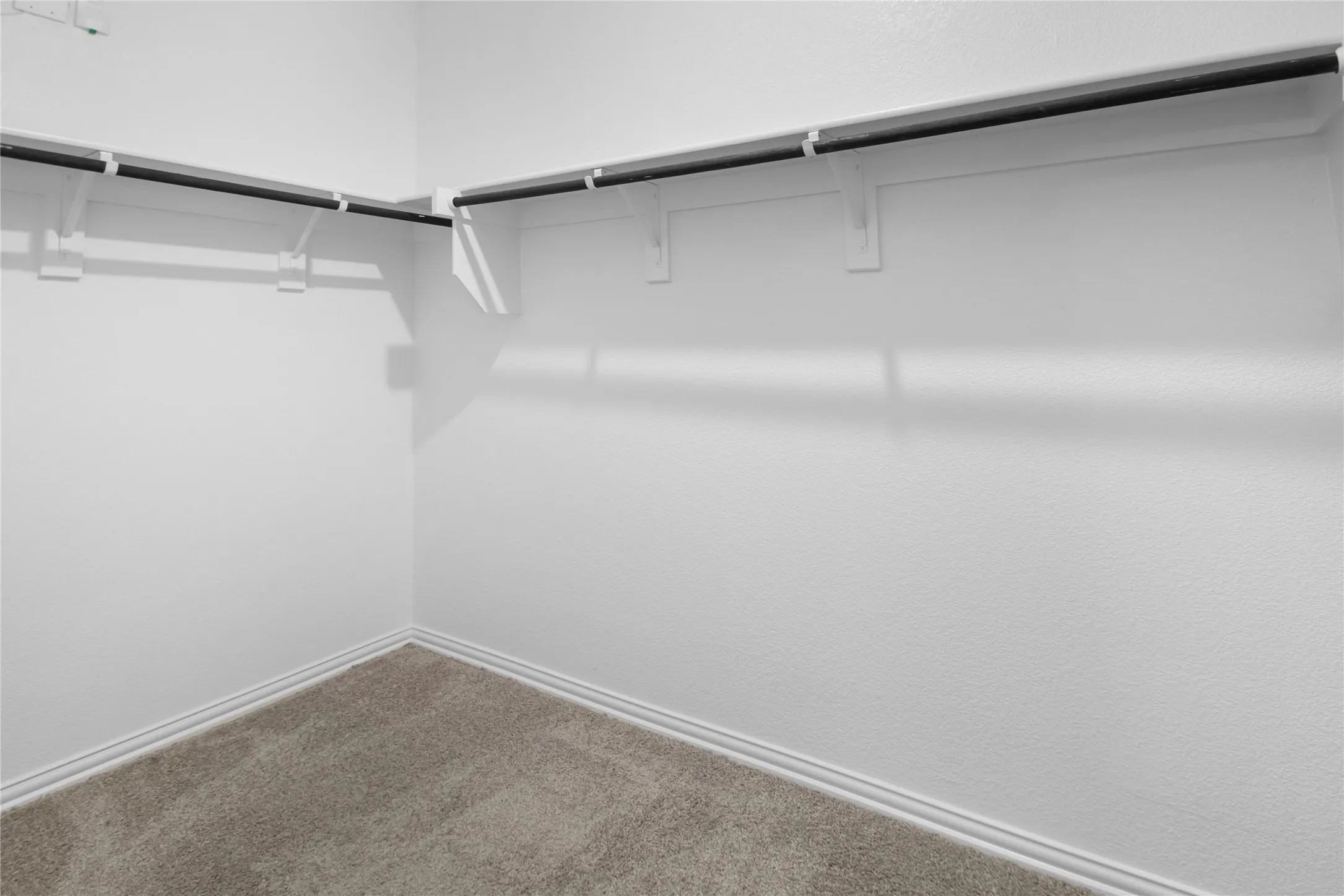 Walk-in storage space featuring neutral carpeting and built-in shelving with integrated hanging rods
