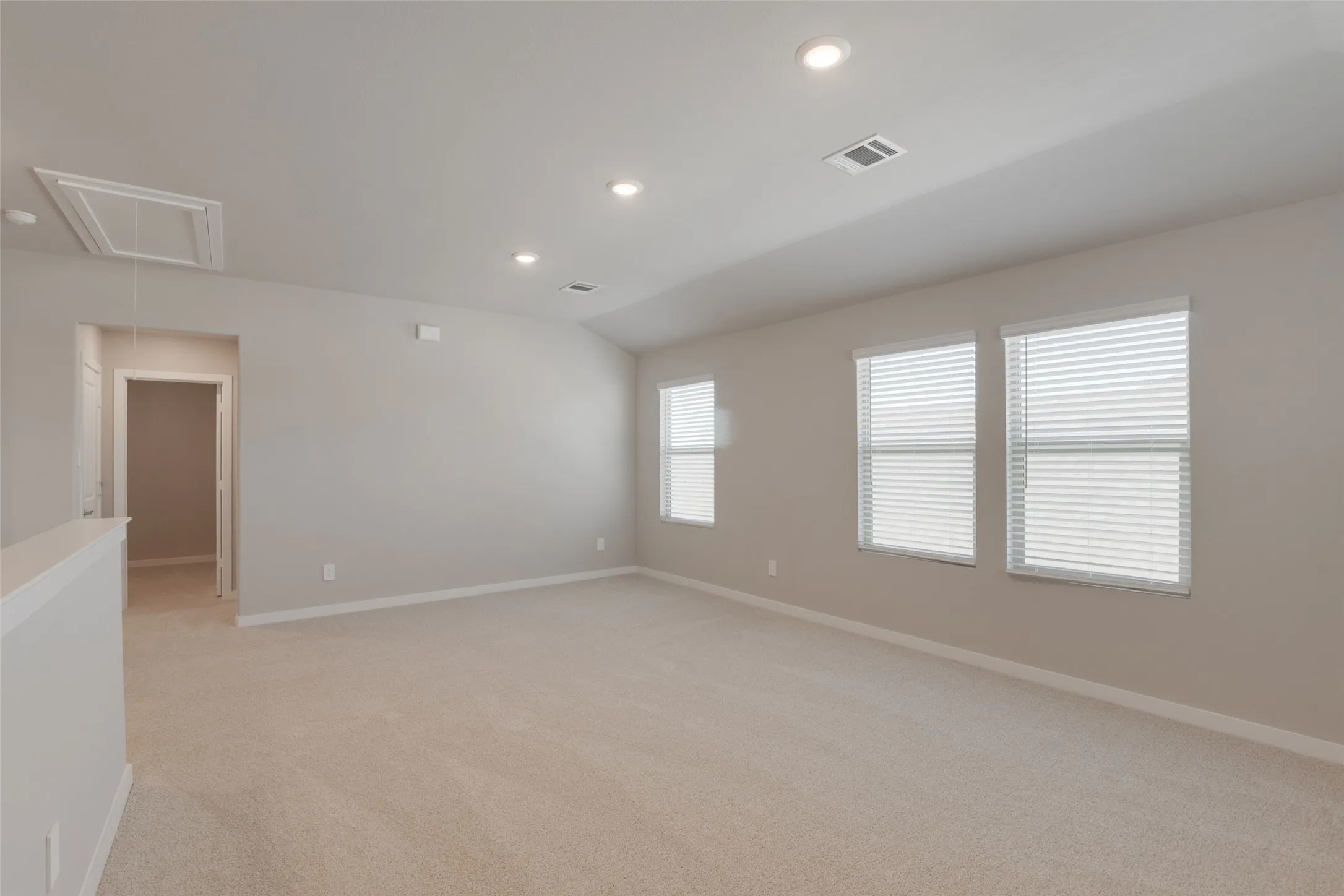 Alot of Natural Light in Livingroom