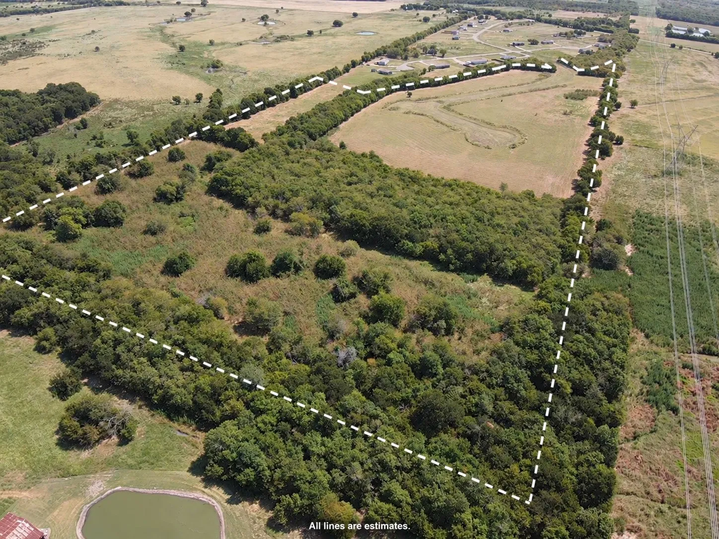 Unimproved Land For Sale in Hunt County , 48 Acres FM 118, Greenville, Texas 75401, 0, 0, Garage spaces, 0 Sqft, built in 0, mls#21410712, Real Estate Agent in Greenville, Homes For Sale in Hunt county, Homes For Sale in Greenville, Realtor in Greenville Texas, Real Estate Brokerage Independent Realty Texas, Luminita Cordes Realtor