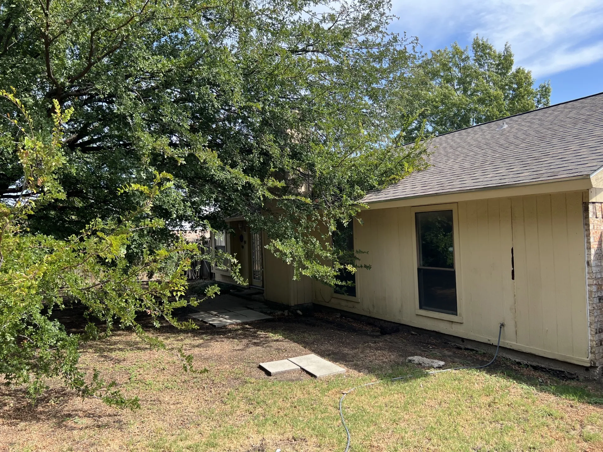 Mature trees providing natural shade