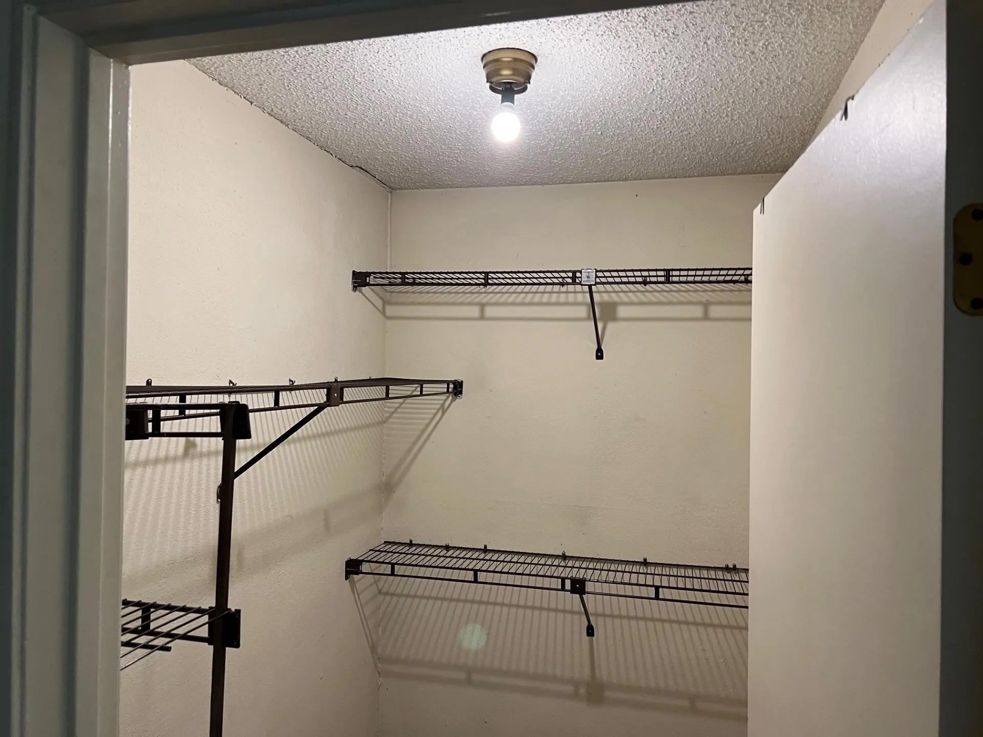 Walk-in closet featuring built-in wire shelving and ceiling-mounted lighting