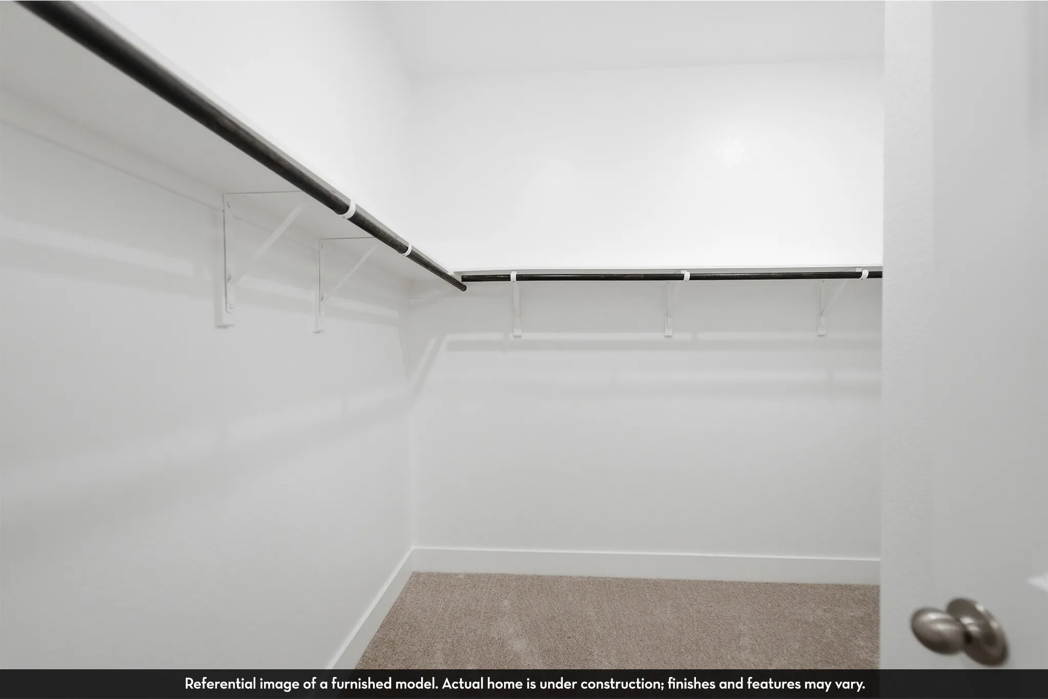 Walk-in closet featuring wall-to-wall carpeting, high-reach upper shelving, and durable hanging rods