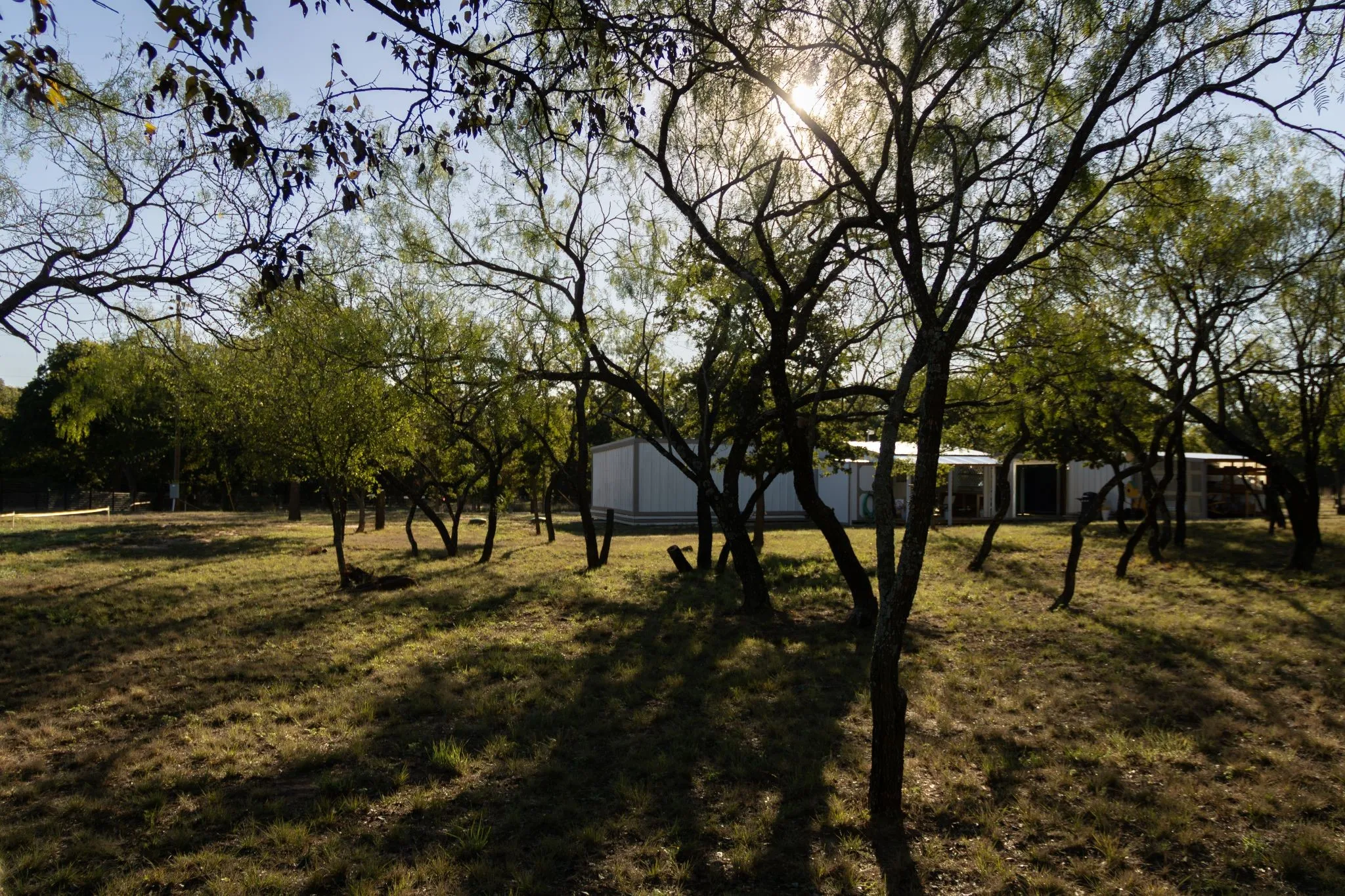 Single Family Residence For Sale in Comanche County , 460 County Road 190, Comanche, Texas 76442, 1 Bedroom, 2 Bathroom, Garage spaces, 725 Sqft, built in 2024, mls#21409218, Real Estate Agent in Comanche, Homes For Sale in Comanche county, Homes For Sale in Comanche, Realtor in Comanche Texas, Real Estate Brokerage Independent Realty Texas, Luminita Cordes Realtor