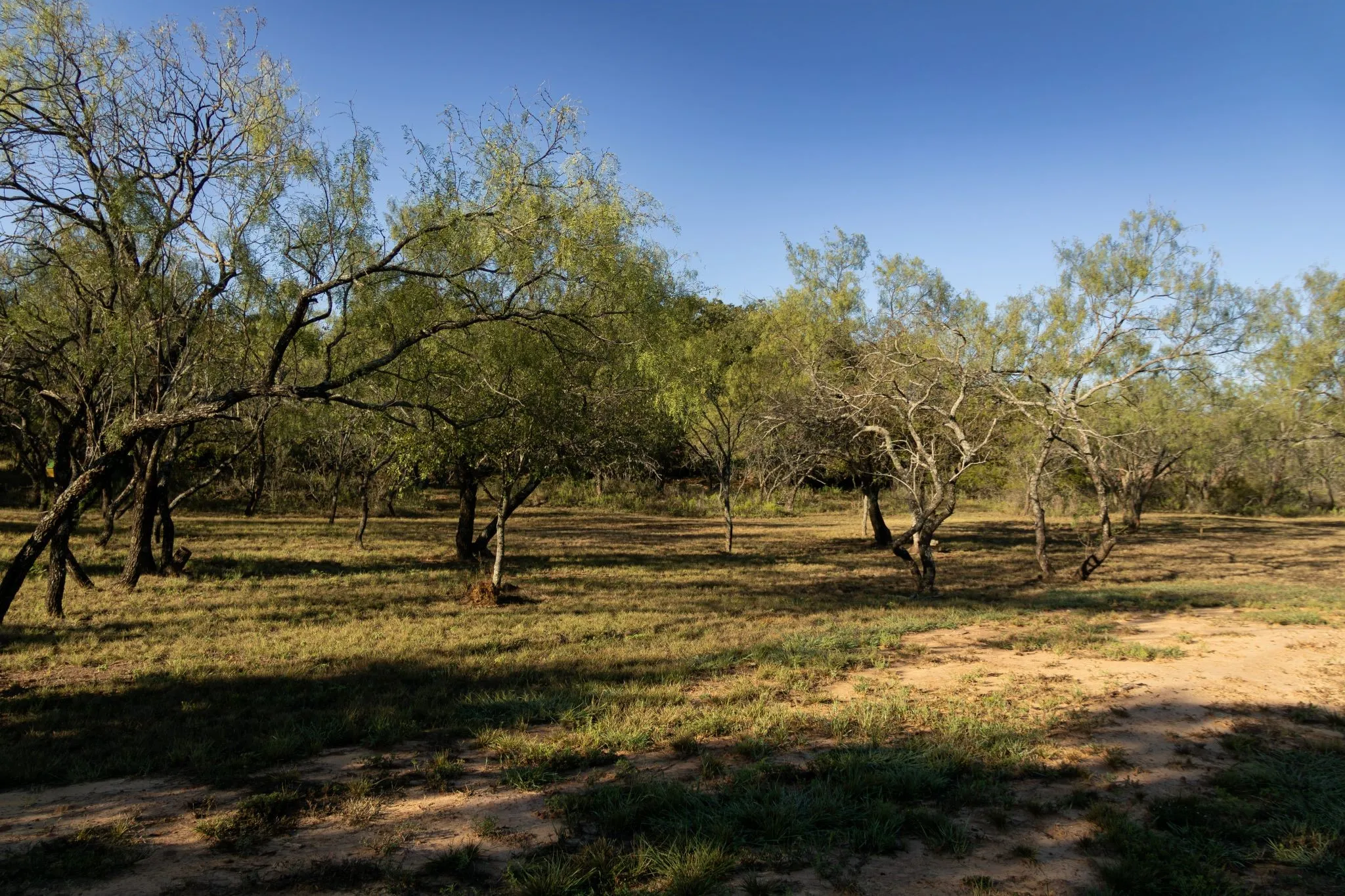 Single Family Residence For Sale in Comanche County , 460 County Road 190, Comanche, Texas 76442, 1 Bedroom, 2 Bathroom, Garage spaces, 725 Sqft, built in 2024, mls#21409218, Real Estate Agent in Comanche, Homes For Sale in Comanche county, Homes For Sale in Comanche, Realtor in Comanche Texas, Real Estate Brokerage Independent Realty Texas, Luminita Cordes Realtor