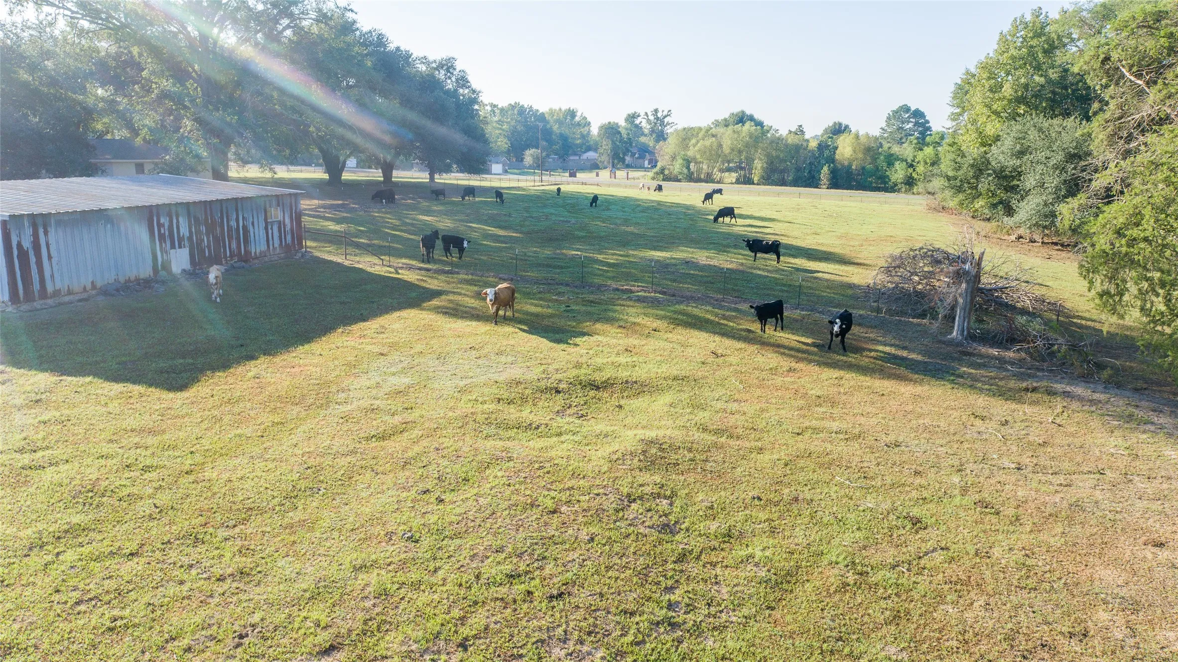 Farm For Sale in Camp County , 2529 W Highway 11, Pittsburg, Texas 75686, 3 Bedroom, 2 Bathroom, 3 Garage spaces, 1,753 Sqft, built in 0, mls#21409894, Real Estate Agent in Pittsburg, Homes For Sale in Camp county, Homes For Sale in Pittsburg, Realtor in Pittsburg Texas, Real Estate Brokerage Independent Realty Texas, Luminita Cordes Realtor