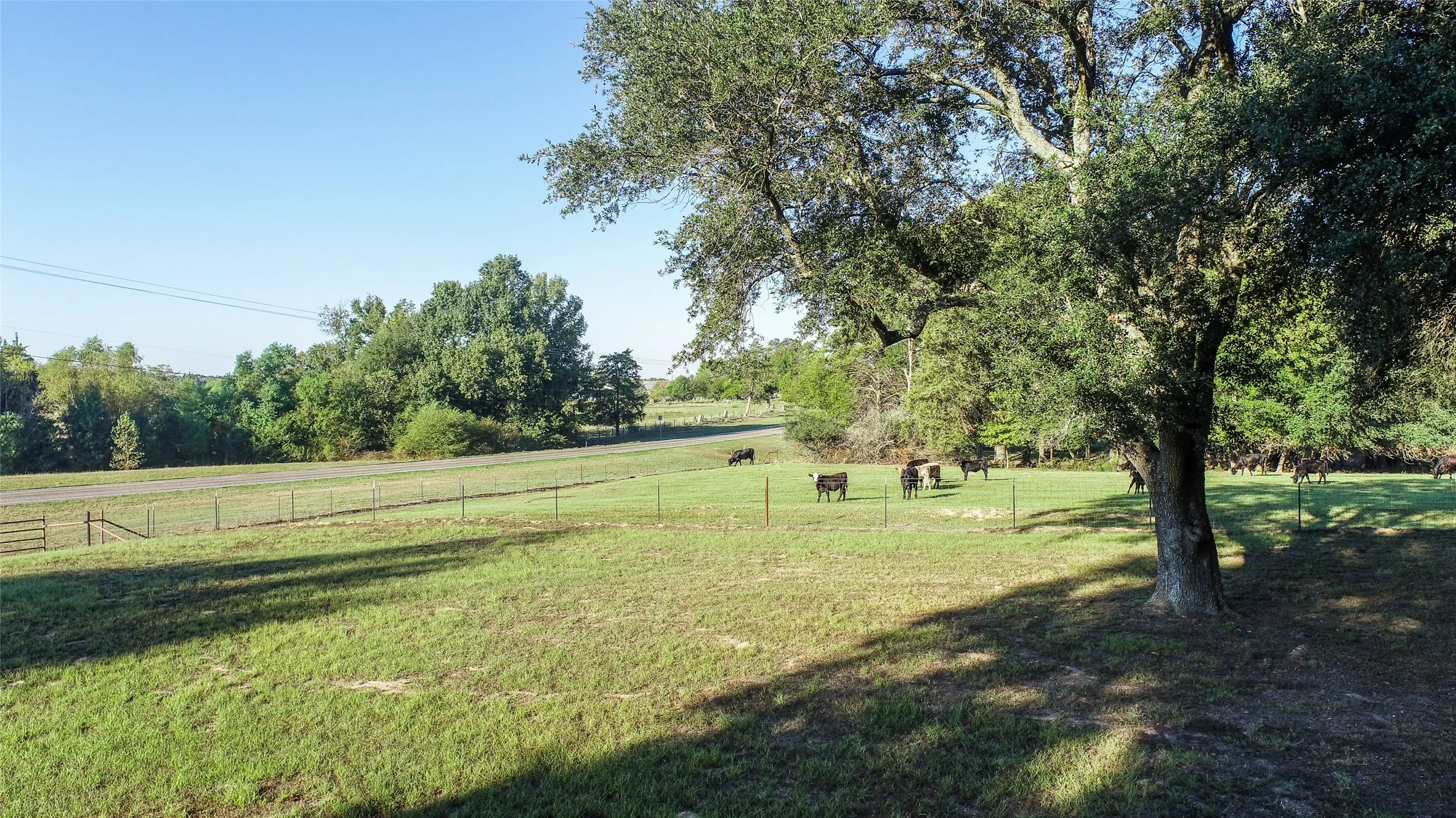 Farm For Sale in Camp County , 2529 W Highway 11, Pittsburg, Texas 75686, 3 Bedroom, 2 Bathroom, 3 Garage spaces, 1,753 Sqft, built in 0, mls#21409894, Real Estate Agent in Pittsburg, Homes For Sale in Camp county, Homes For Sale in Pittsburg, Realtor in Pittsburg Texas, Real Estate Brokerage Independent Realty Texas, Luminita Cordes Realtor